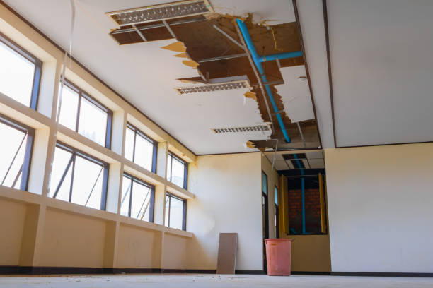 Best Emergency water damage restoration  in Mesita, NM