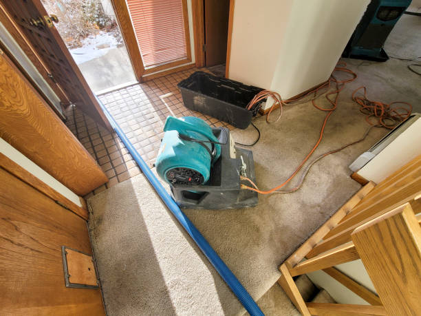 Best Water damage contractors near me  in Mesita, NM