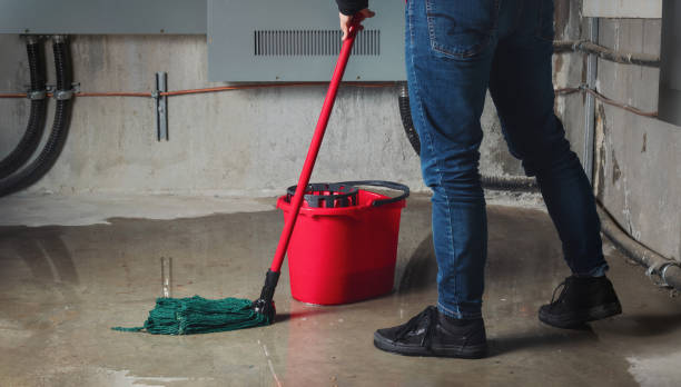 Best Water damage contractors near me  in Mesita, NM