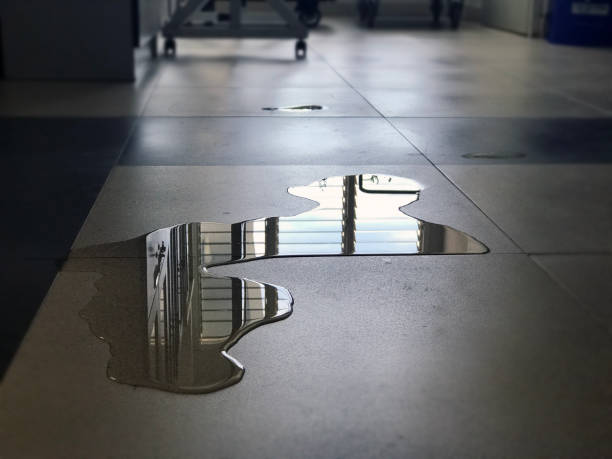 24/7 water damage repair in NM