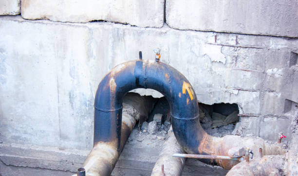 Best Water damage cleanup near me  in Mesita, NM